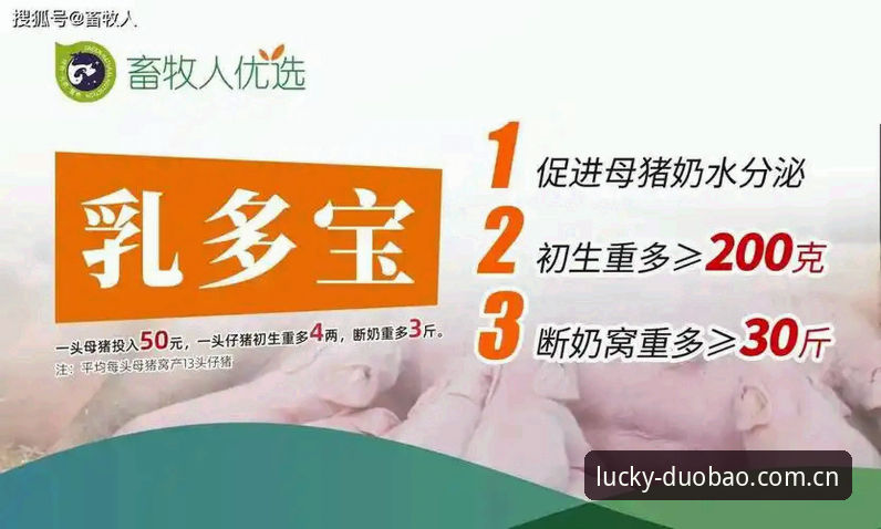 多宝体育怎么登录？老用户分享5个2026新版操作要点